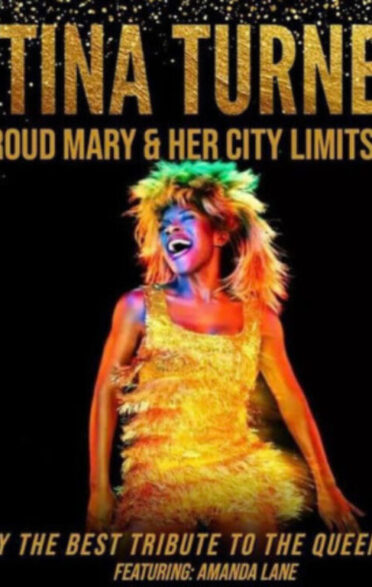 Tina Turner Experience