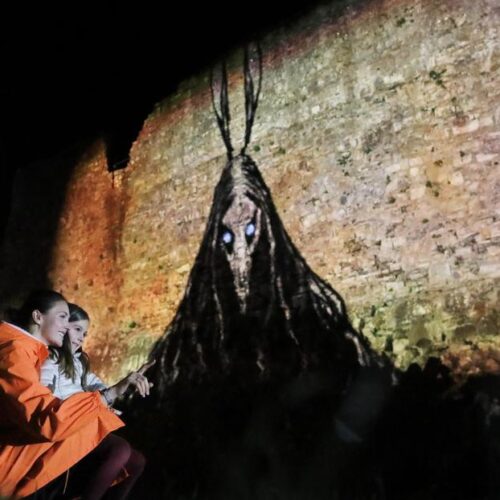 2022 Púca Festival, Cartoon Saloon Animation, Trim, Co Meath